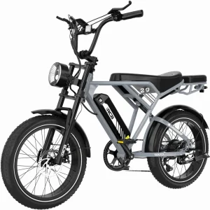 RCB RK29 E-Bike, 48V 13Ah Akku, 40-60 km Reichweite, 20×4,0 Zoll Reifen