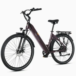 TTGO E-Bike C3 SE, 120 km Reichweite, 25 kg leicht, 5-Gang Shimano