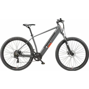 Telefunken E-Bike Aufsteiger M919, 29 Zoll, Shimano 7-Gang, leistungsstarker Heckmotor