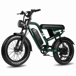 Vankel MX10 E-Bike Cityrad, 250W Motor, 100 km Reichweite