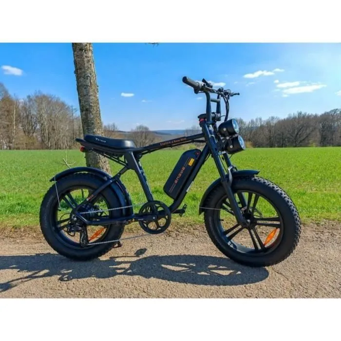 ENGWE M20 – 20″ Elektrofahrrad – 75 km Reichweite – Bild 3