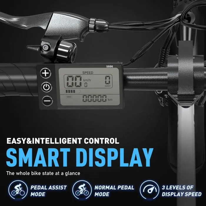 COLORWAY E-Bike 20×3,0 Fat Tire – Bild 2